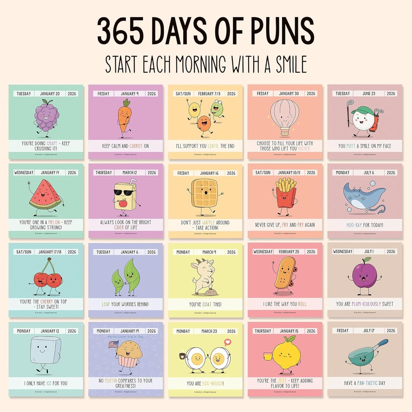 2026 Funny Pun Flip Calendar