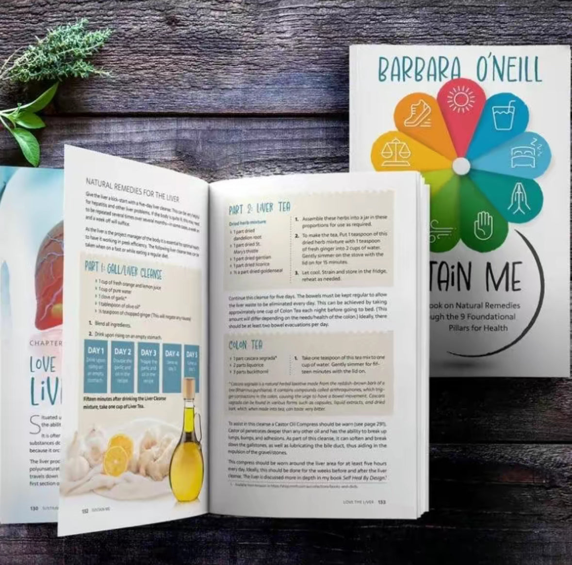 Sustain Me Book